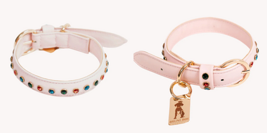 Is a Dog Chain Collar the Right Choice for Your Pet?