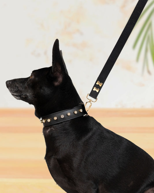 The City Boi Leash- Midnight Black