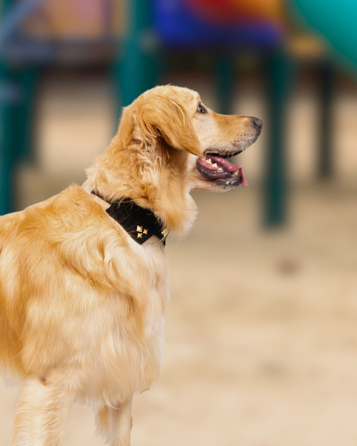 The Rebel Collar