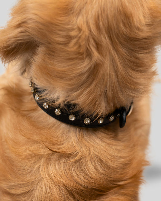 The Noir Collar