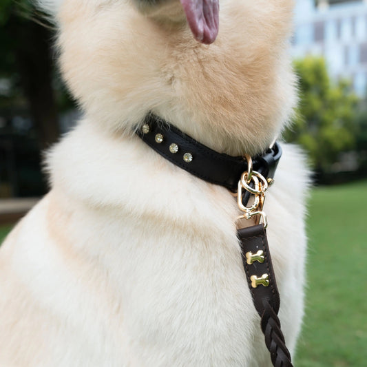 The Braid Leash- Cocoa Brown