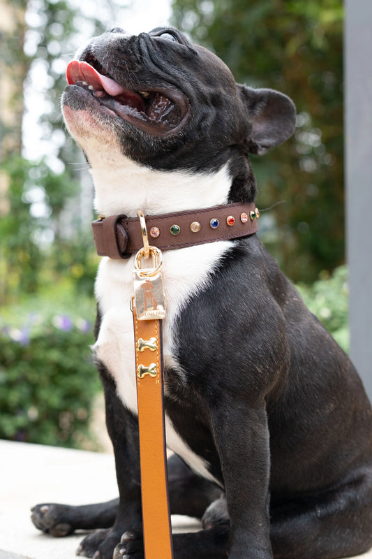 The City Boi Leash- Tan