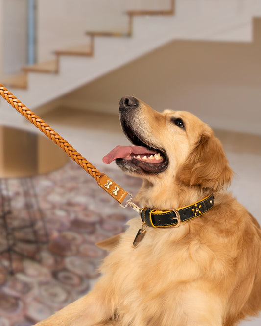 The Braid Leash- Tan