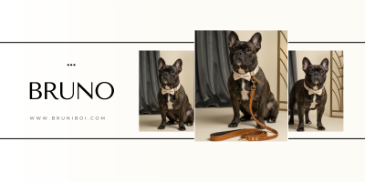 High-end editorial photo of a Bruni Boi handcrafted brown leather dog collar and leash with brass hardware, staged with a blurred men's dress shoe to convey refined everyday luxury.