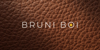 Material Matters: Understanding What Touches Your Pet's Skin