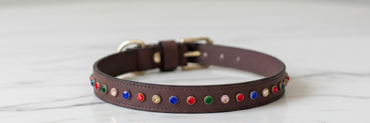 Bruni Boi Premium Collar Collection