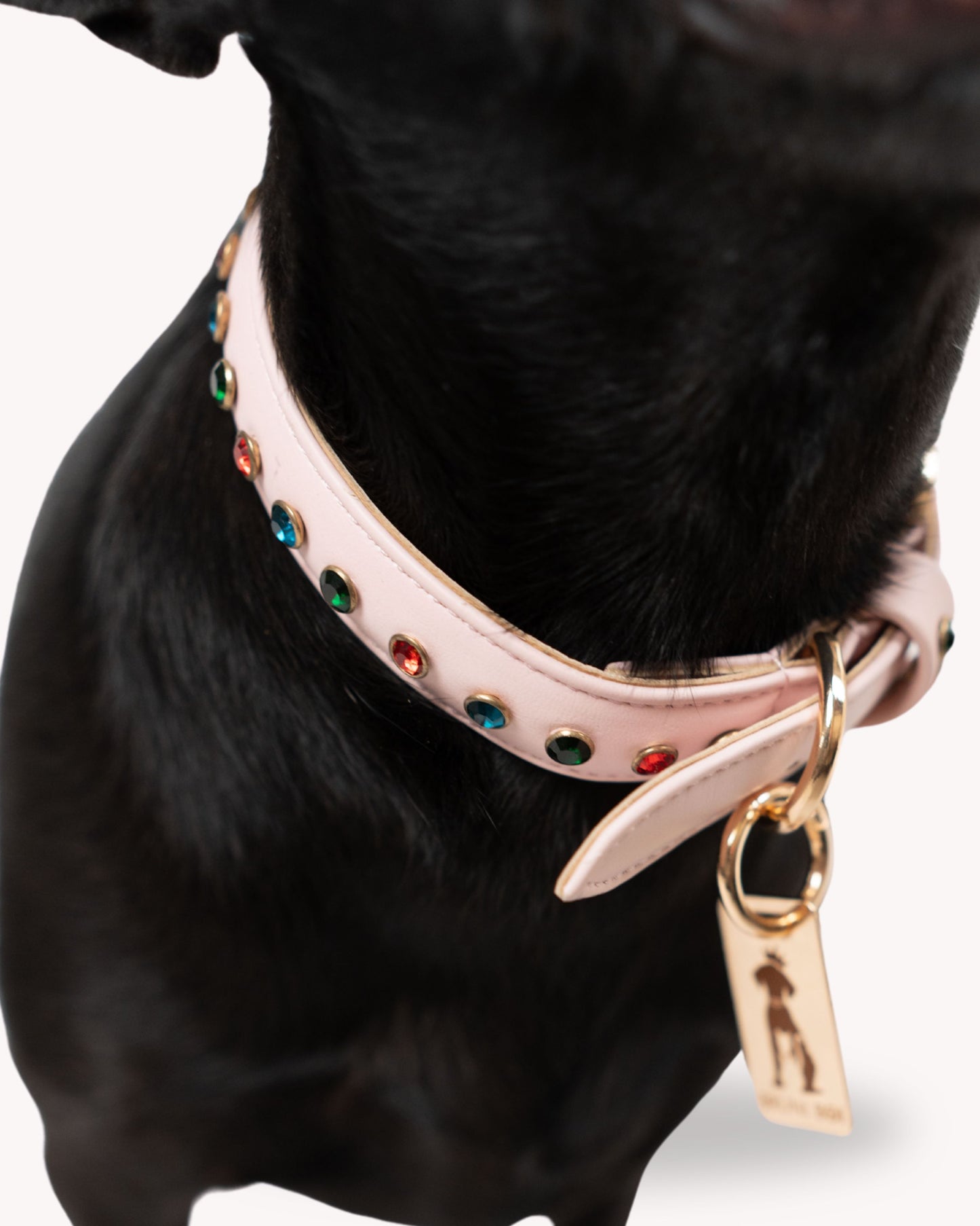 The Blush Collar