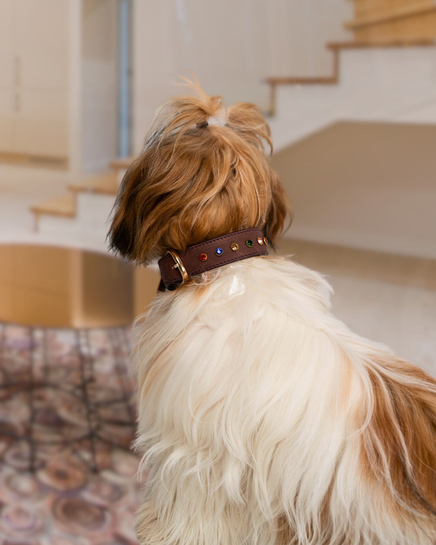 The Ember Collar