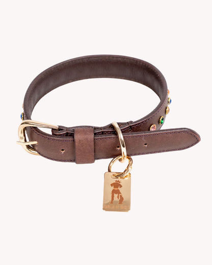 The Ember Collar
