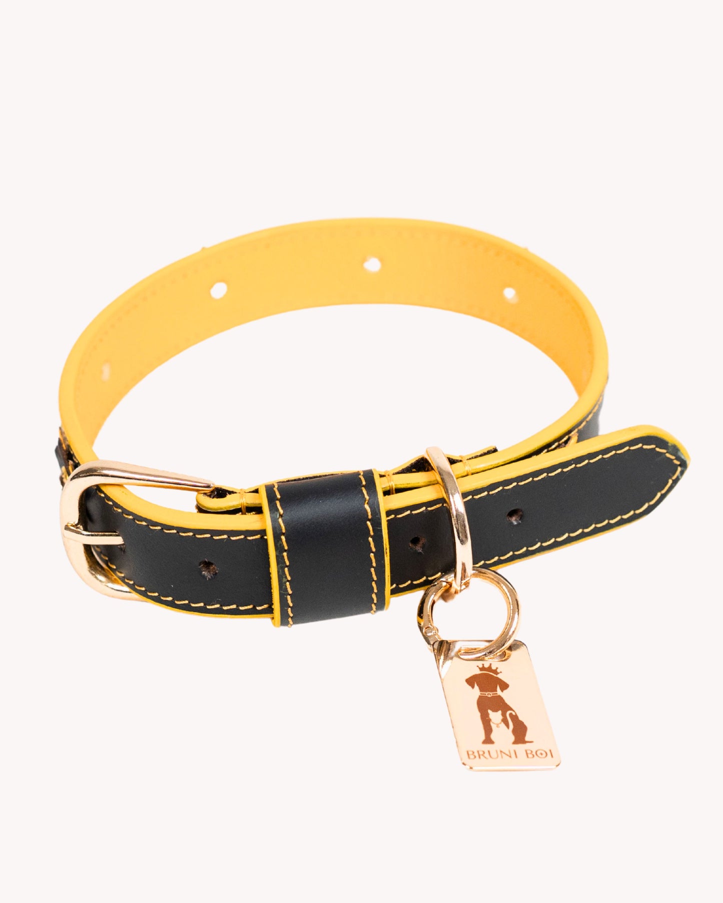The Starstruck Collar
