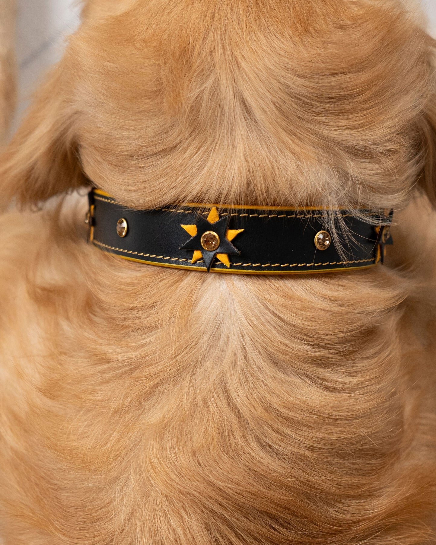 The Starstruck Collar