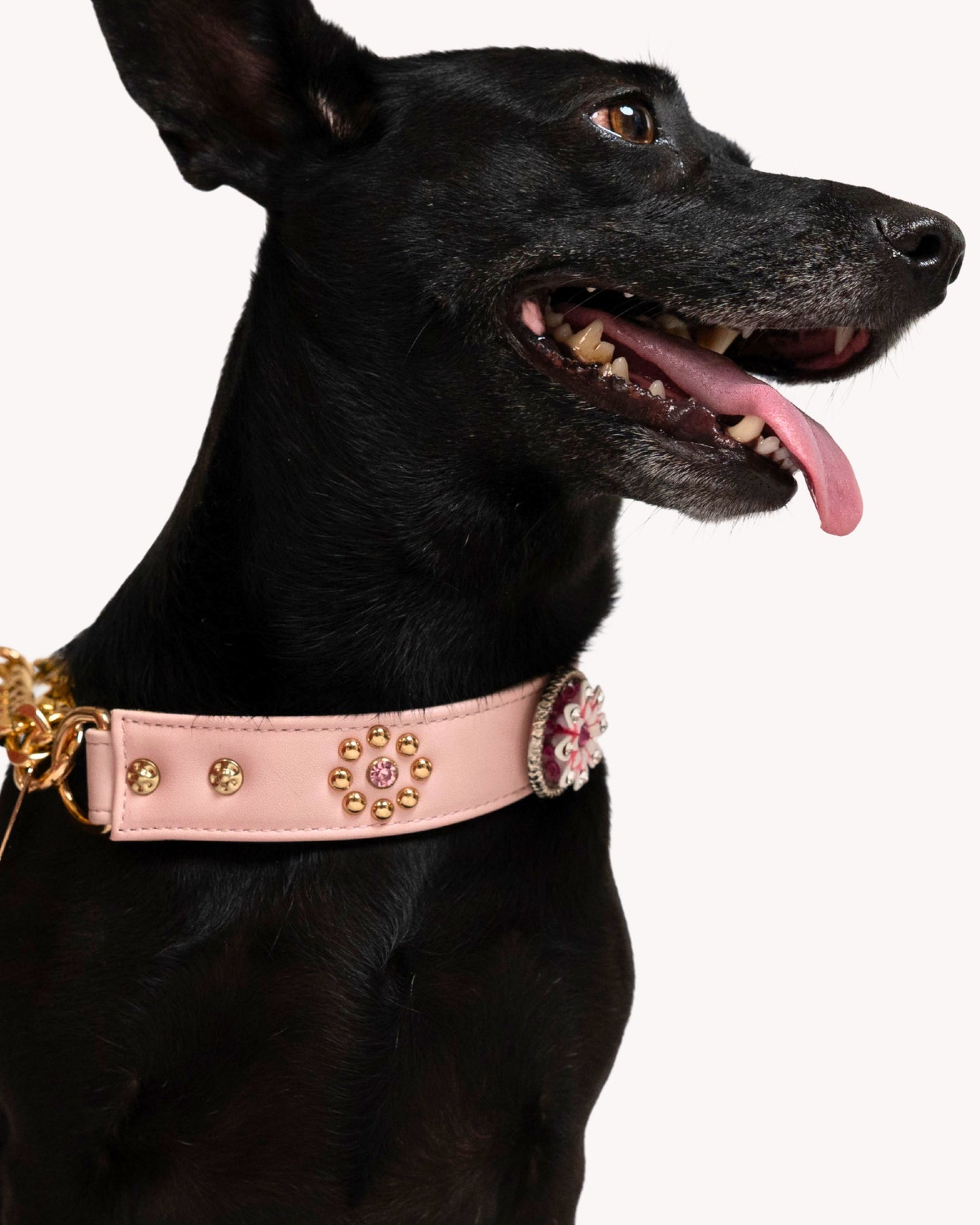 The Tiara Collar