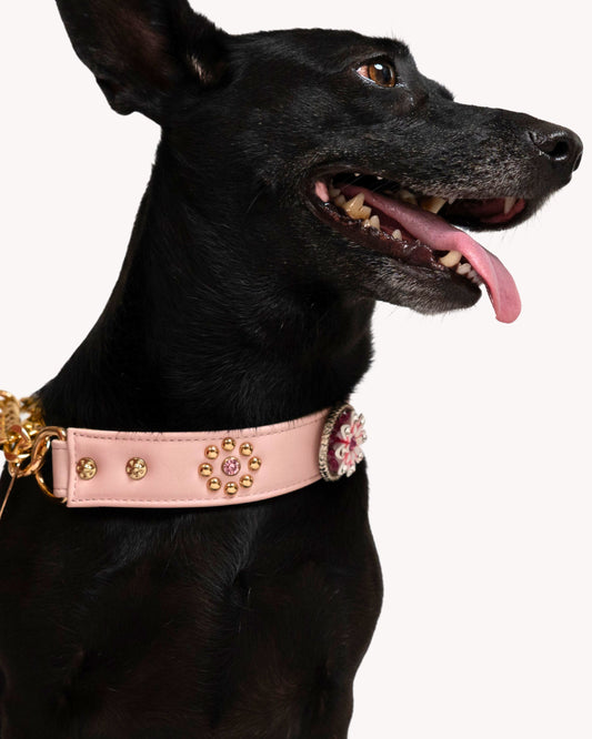 The Tiara Collar