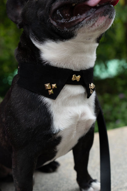 The Rebel Collar