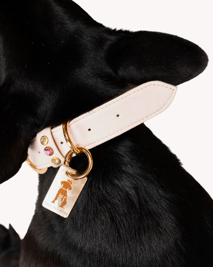 The Muse Bow Collar