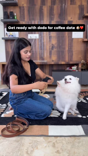 shopgracias-app-videos