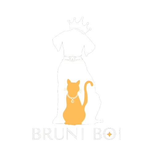 Bruni Boi